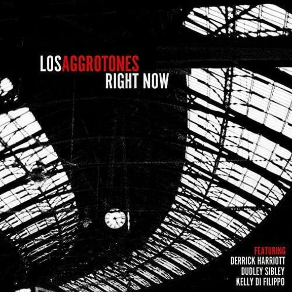 Los Aggrotones - Right Now - Vinyl