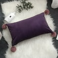thumbnail image 3 of Ramiter Velvet Pillowcase Cushion Cover Sofa Office Waist Pillow Bed Back Rectangular Wool Ball Standard Silk Pillowcase, 3 of 3