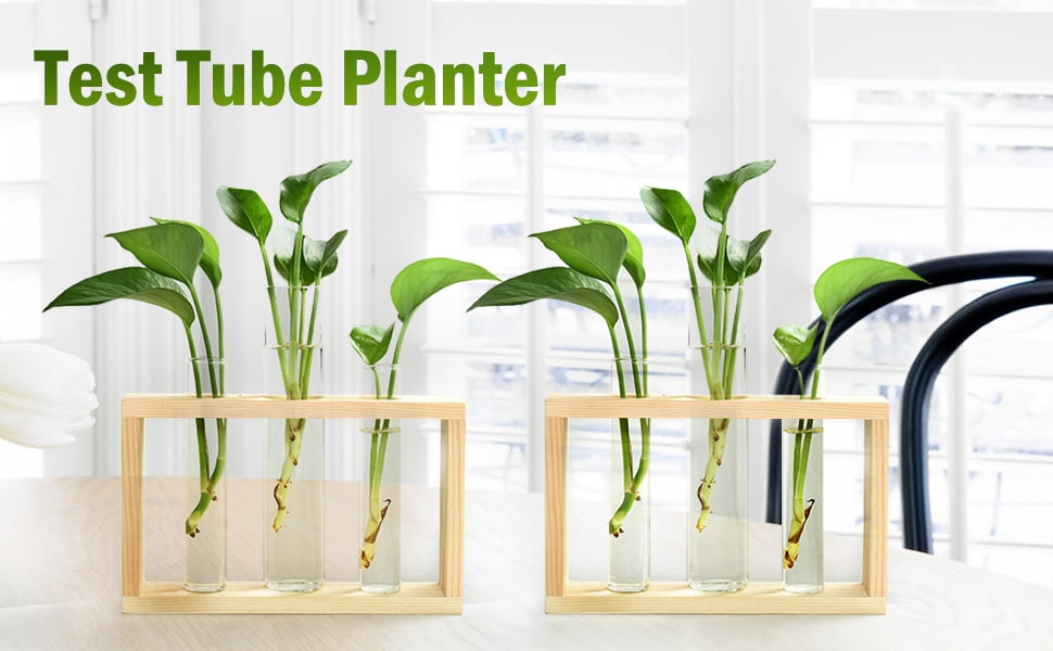Heldig Test Tube Planter Plant Propagation Station Glass Terrarium Test Tube  with Wood Stand for Propagating Hydroponic Plants Home Office DecorationB 