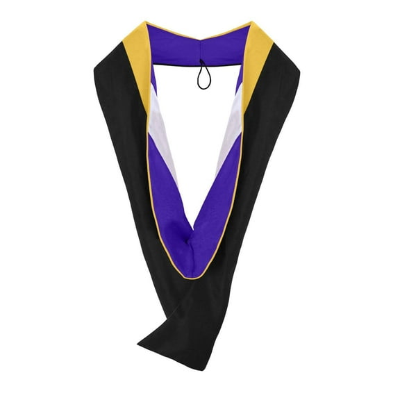 Endea Graduation Masters Hood For Science, Mathematics, Political Science - Gold/Purple/White