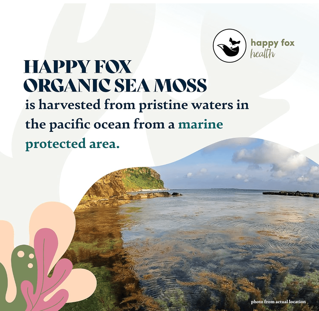 HAPPY FOX Sea Moss Raw Organic for Organic Seamoss Gel Makes 170oz of Dr Sebi Sea Moss Gel - Certified Non-GMO, Wildcrated Organic Raw Sea Moss - 6 Mos Supply of Seamoss Gel - 226 Gram Bag