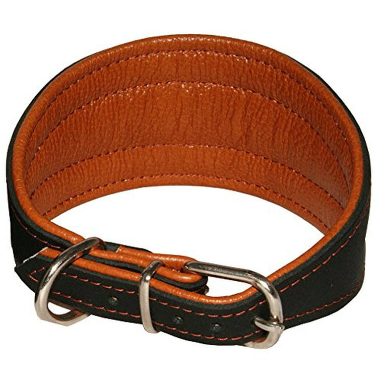 Leather hot sale lurcher collar