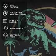 Boy's Jurassic Park Rainbow Emblem Graphic Tee Black Medium