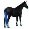 thumbnail image 2 of Horse Tail Usb Lights Chargeable Led Crupper Harness Equestrian, Outdoor Sport, 2 of 5