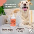 thumbnail image 3 of Suplemento de aceite de pescado Natural Dog Company Skin & Coat 500 ml, 3 of 9
