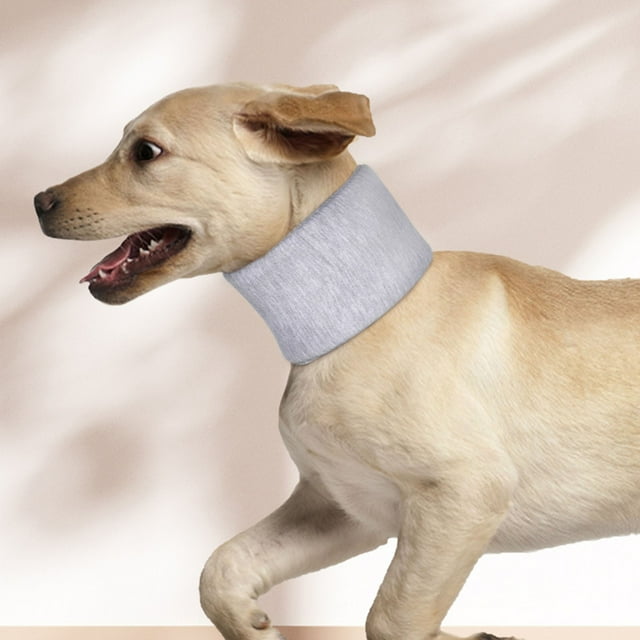 Collier de Soutien du Cou de Chien, Aider les Animaux de Compagnie à Se Remettre d'Entorses de Blessures au Cou Vertébral, Collier Cervical de Protection Réglable, Collier Cervical pour Animaux de Compagnie