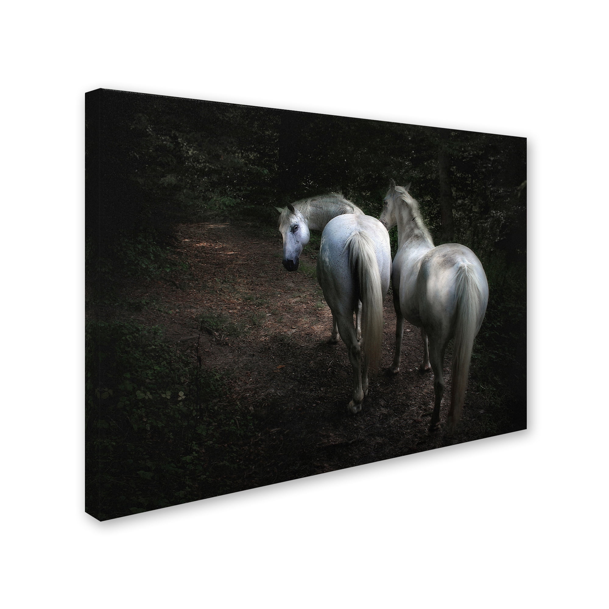 Holger Droste 'Come ' Canvas Art