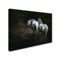 thumbnail image 2 of Holger Droste 'Come ' Canvas Art, 2 of 3