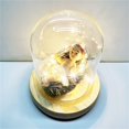 thumbnail image 6 of Baby Jesus Figurine Religious Statue Christmas Gift Light Up Infant Jesus Christ, 6 of 7