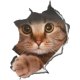 thumbnail image 1 of Paquete de 2 pegatinas para asiento de inodoro, baño, WC, un patrón de animal de gato súper adorable, vista 3D, pegatinas de pared de PVC, calcomanías decorativas, mural artístico, 1 of 5
