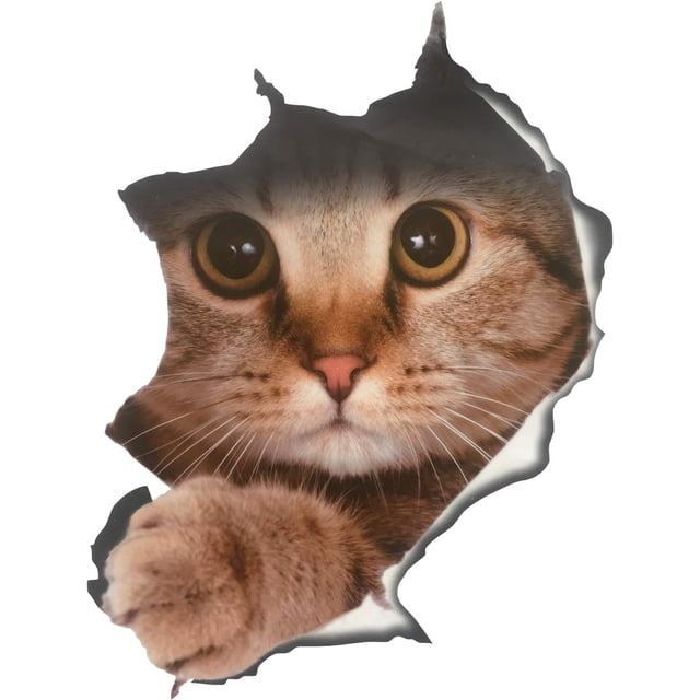 Paquete de 2 pegatinas para asiento de inodoro, baño, WC, un patrón de animal de gato súper adorable, vista 3D, pegatinas de pared de PVC, calcomanías decorativas, mural artístico
