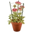 thumbnail image 4 of 45cm 60cm Flower Plants Clematis Climbing Rack Support Shelf House Garden Supplies, 4 of 6