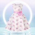 thumbnail image 2 of NIEWTR Robe pour Tout-Petites Fille Petite Fille Mignonne à Imprimé Sans Manches Robe d'Été Séchage Rapide Robe pour Voyages d'Été (Rose, 3-4 Ans), 2 of 8