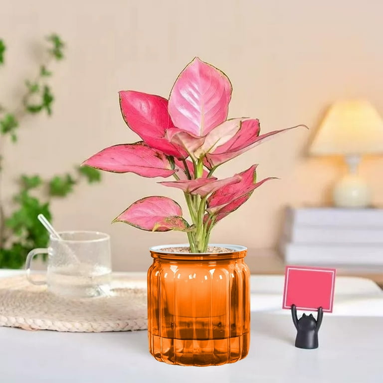 BiFandian Self Watering Planters, Clear Plastic Planter Flower Pots for  Indoor Plants, Small Decorative Plant Pots with Reservoir Drainage Holes  Bottom Watering - Walmart.com