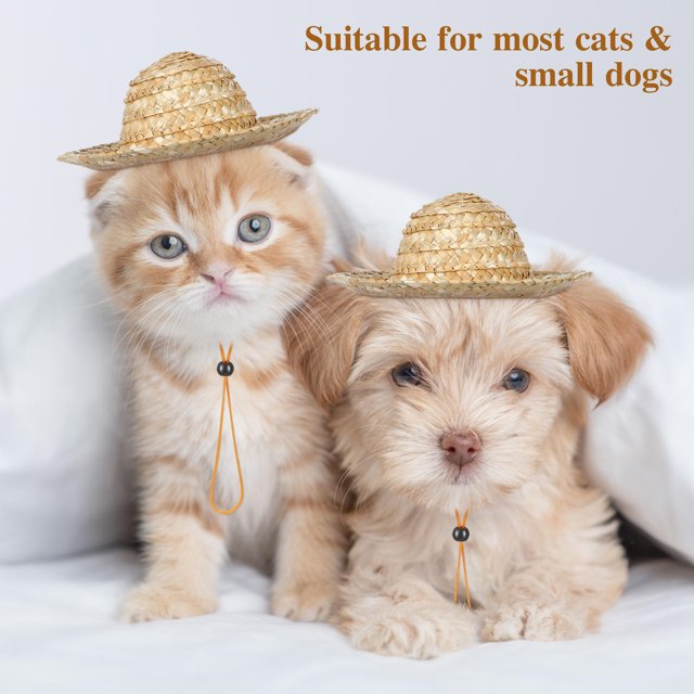 Luxshiny Sombrero Para Mascotas De Paja Con Atractivo Y Correa Ajustable Para Exteriores