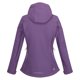 thumbnail image 2 of Regatta - Chaqueta Softshell Desoto VII para Mujer (Berenjena Oscura) Regatta UTRG6150_darkaubergine, 2 of 3