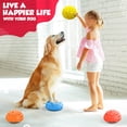 thumbnail image 3 of Yes4All Rocky Balance Pods and Balance Disc for Children and Adults - Set 9 pods, 3 of 8