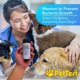 thumbnail image 2 of Tiras reactivas de orina para mascotas Advocate Pettest para perros y gatos, 2 of 8