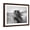 Brown Frame, variant on Art.com Fierce Grace Photographic Print by Tony Stromberg, 16" x 12"
