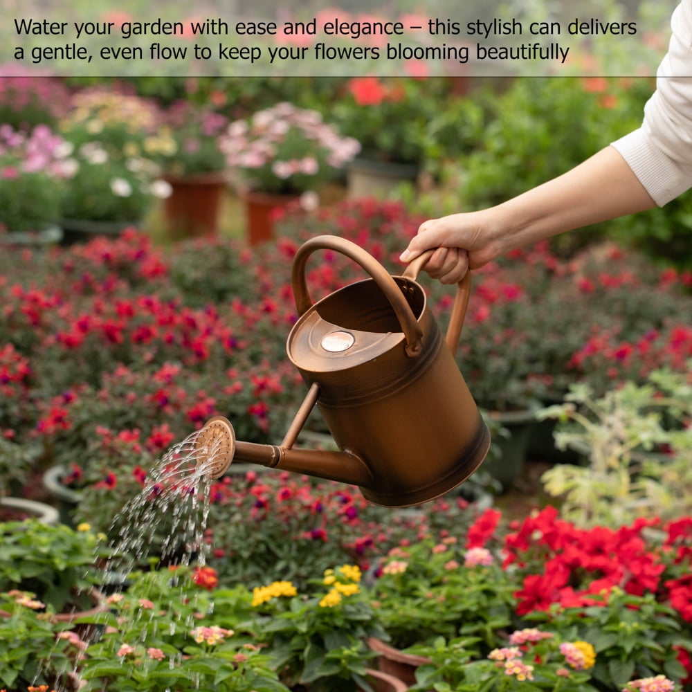 1-Gallon Steel Watering Can with Removable Sprinkler Head Ideal for Indoors & Outdoors, Bronze