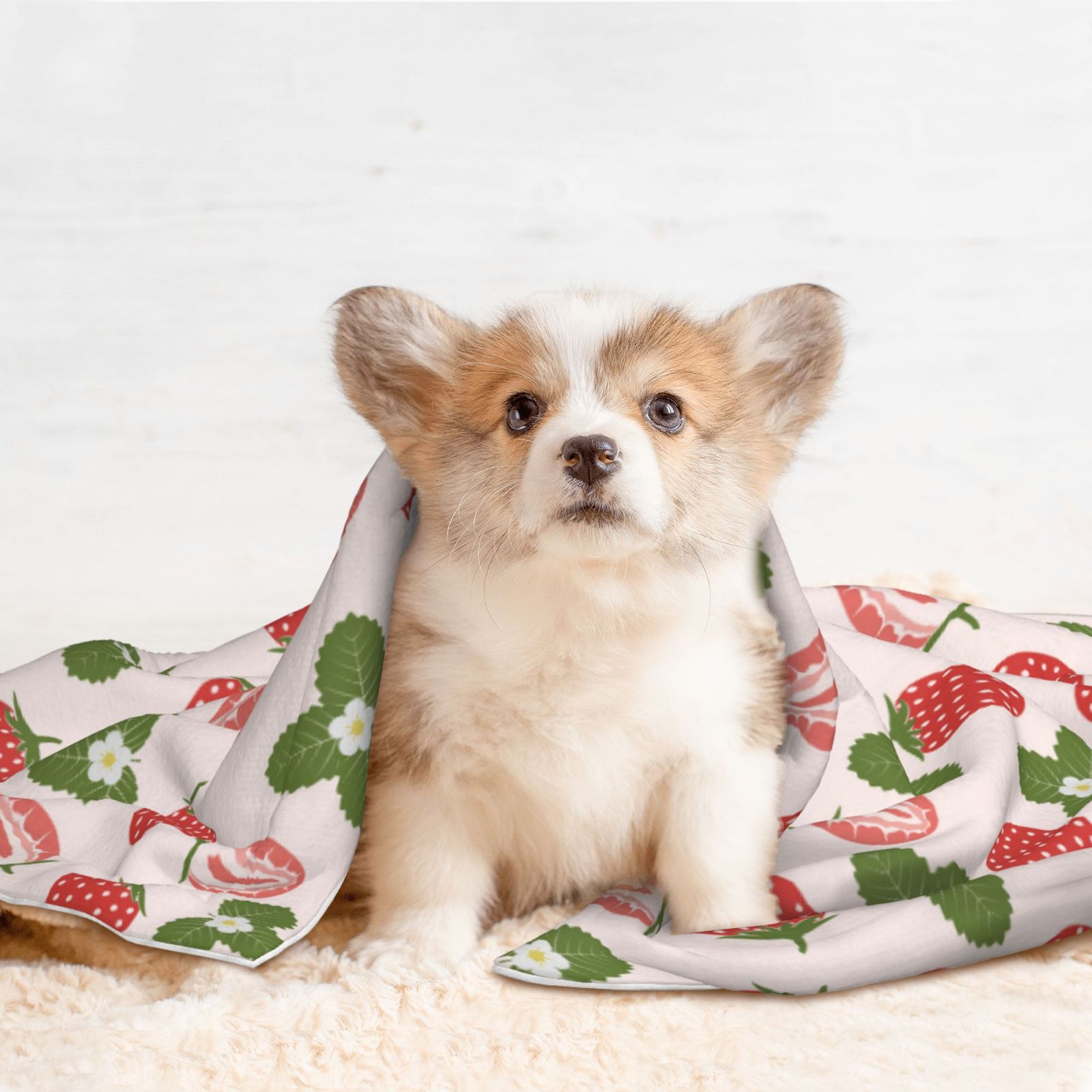 Naloa Strawberries And Leaf Dog Blanket, 3 Sizes Cat Blanket for Indoor Cats Large Medium Small Dog Gifts-Large