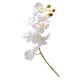 thumbnail image 5 of OHOIOLLA Flor Falsa Phalaenopsis De Plástico Para Adornos En Banquetes Y, 5 of 8