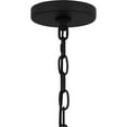 thumbnail image 3 of Quoizel Luther 1-Light Earth Black Outdoor Hanging Lantern, 3 of 6