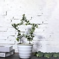thumbnail image 3 of unbranded 2Ud Estructura Para Plantas Trepadoras En Hierro Negro Ideal Para Patio Y Jardín, 3 of 7