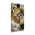 thumbnail image 2 of Trademark Fine Art 'Outburst I' Canvas Art by James Burghardt, 2 of 4