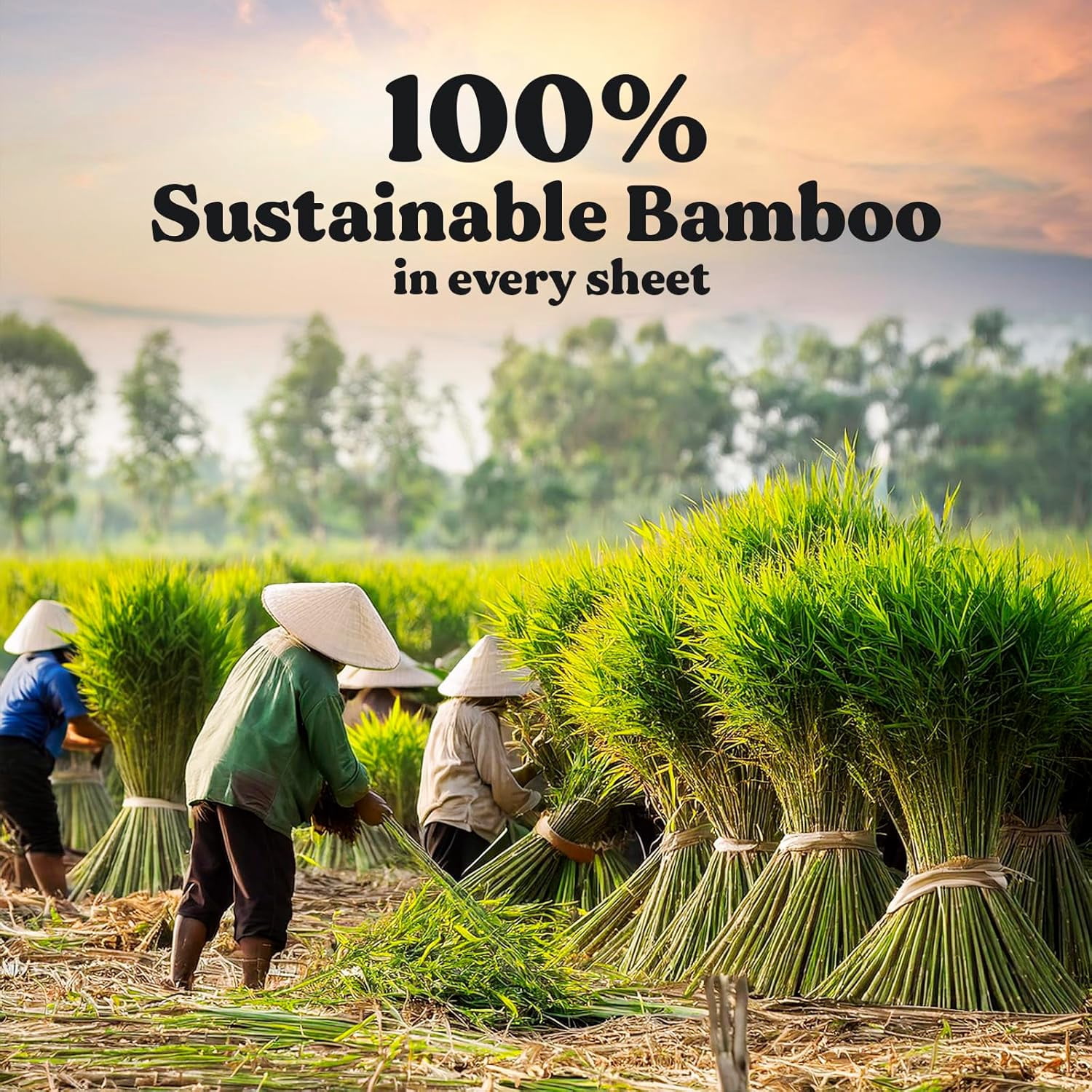 Organic Bamboo Toilet Paper 3 Ply - Sustainable Toilet Paper - 6 Jumbo Rolls & 350 Sheets Per Roll - Septic Safe - 100% Natural - PFAS & BPA Free - FSC Certified