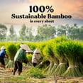 thumbnail image 2 of Organic Bamboo Toilet Paper 3 Ply - Sustainable Toilet Paper - 6 Jumbo Rolls & 350 Sheets Per Roll - Septic Safe - 100% Natural - PFAS & BPA Free - FSC Certified, 2 of 5