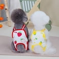 PrimeGo Cat Neutering Recovery Suit Strawberry Pattern AntiLicking