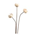 thumbnail image 4 of Ramo de flores secas para jarrón, arreglo floral con plantas secas, bricolaje decorativo para bodas, salas de estar, dormitorios, decoración del hogar Estilo E, 4 of 8