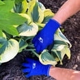 thumbnail image 4 of Guantes de trabajo Wells Lamont 524S pequeños recubiertos de látex azules, 4 of 6