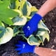 thumbnail image 4 of Guantes de trabajo Wells Lamont negro/azul para hombre, talla L, paquete de 1, 4 of 5