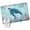 Turquoise, variant on Coastal Turtle Blue Entryway Rug 2'x3'  Non Slip Front Door Mats, Summer Beach Nautical Coral Starfish Entrance Rugs Indoor Outdoor Carpet, Washable Floor Mats Small Area Rug for Bedroom Kitchen