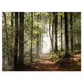 thumbnail image 2 of Forêt Verte d'Automne avec Rayons de Soleil - Impression sur Toile Photographie de Paysage, 2 of 3