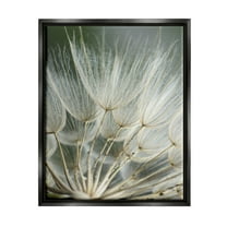 Stupell Industries Soft Dandelion Photography Botanical & Floral Photography Black Floater Framed Canvas Art Print Wall Art, 17 x 21