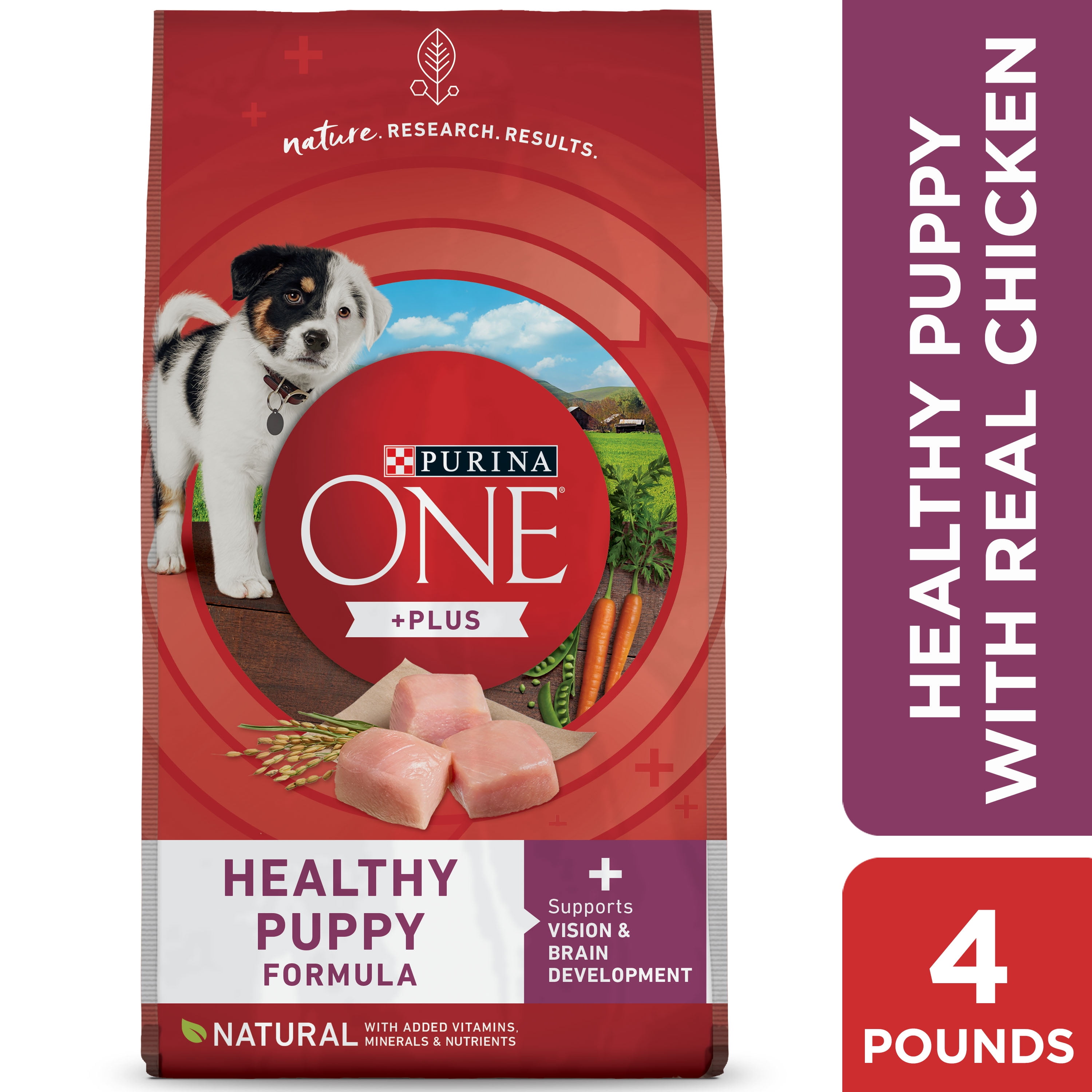 Purina ONE Natural High Protein Dry Puppy Food Plus Healthy Puppy 