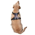 thumbnail image 2 of Naloa Dragon1 Pet Harness Vest with Traction Rope, Adjustable No-Choke Dog Vest for Outdoor, Walking - X-Large, 2 of 4