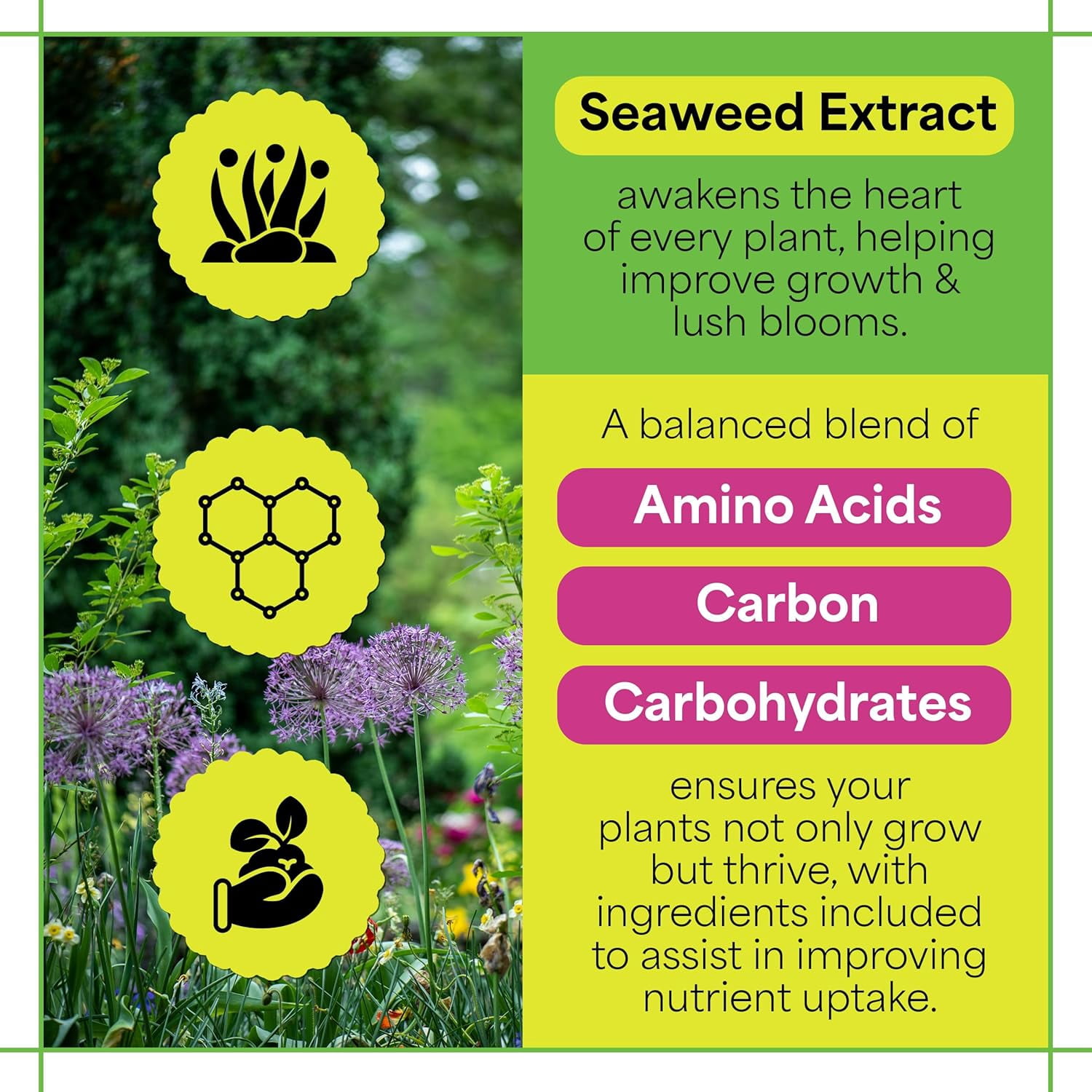 Sea Grow Kelp Fertilizer - 1.5lbs of 16-16-16 Water-Soluble, All-Purpose Plant Food - Nutrient-Rich, Seaweed Fertilizer - Outdoor & Indoor Plant Food