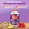 thumbnail image 3 of Dr. Barton's Nausea Stop Non-Drowsy Ginger Capsules, Travel and Motion Support, 1,450 mg, 80 Count, 3 of 6