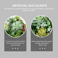 thumbnail image 4 of Wall Hanging Garden Plant Decor with Frame Emulated Succulent Plants Pendant, 4 of 7