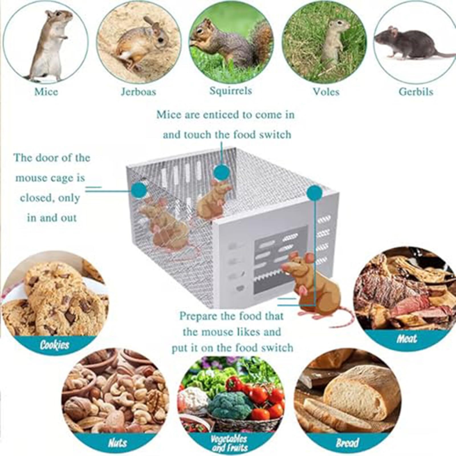 SXlianshun-Stainless Steel Automatic Mousetrap,Mouse Trap, Automatic Mouse Trap, Easy to Set Mice Catcher for Indoor and Outdoor