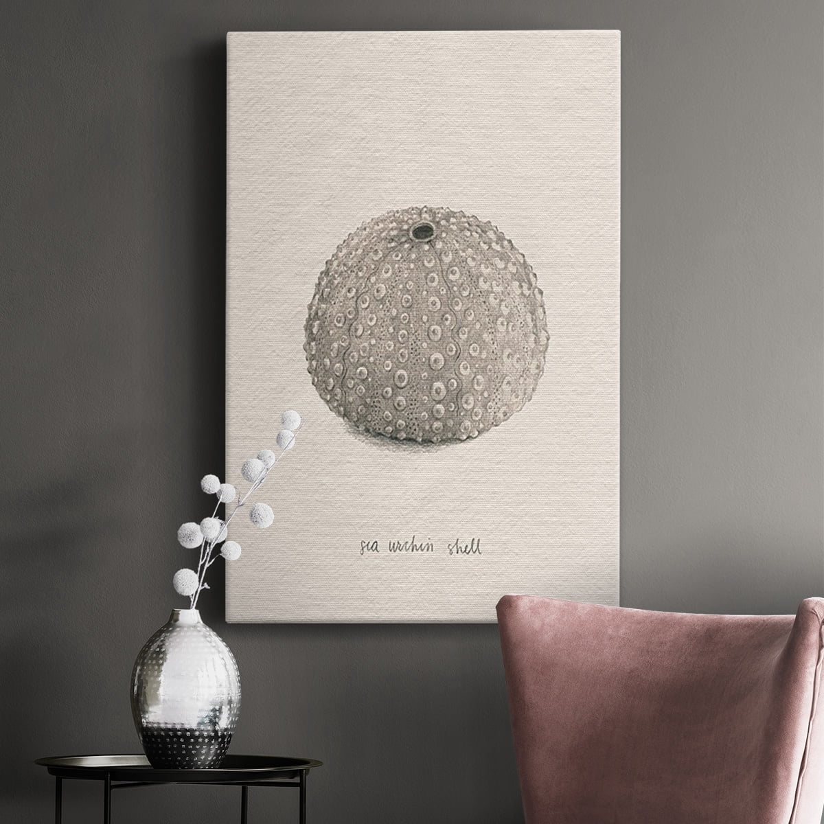Shore Treasure Study I Premium Gallery Wrapped Canvas - Ready to Hang