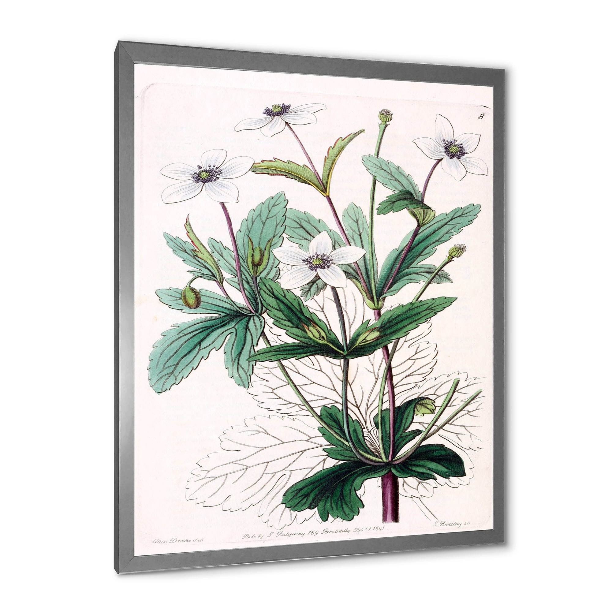 Designart 'Ancient Plant Life XXI' Traditional Framed Art Print
