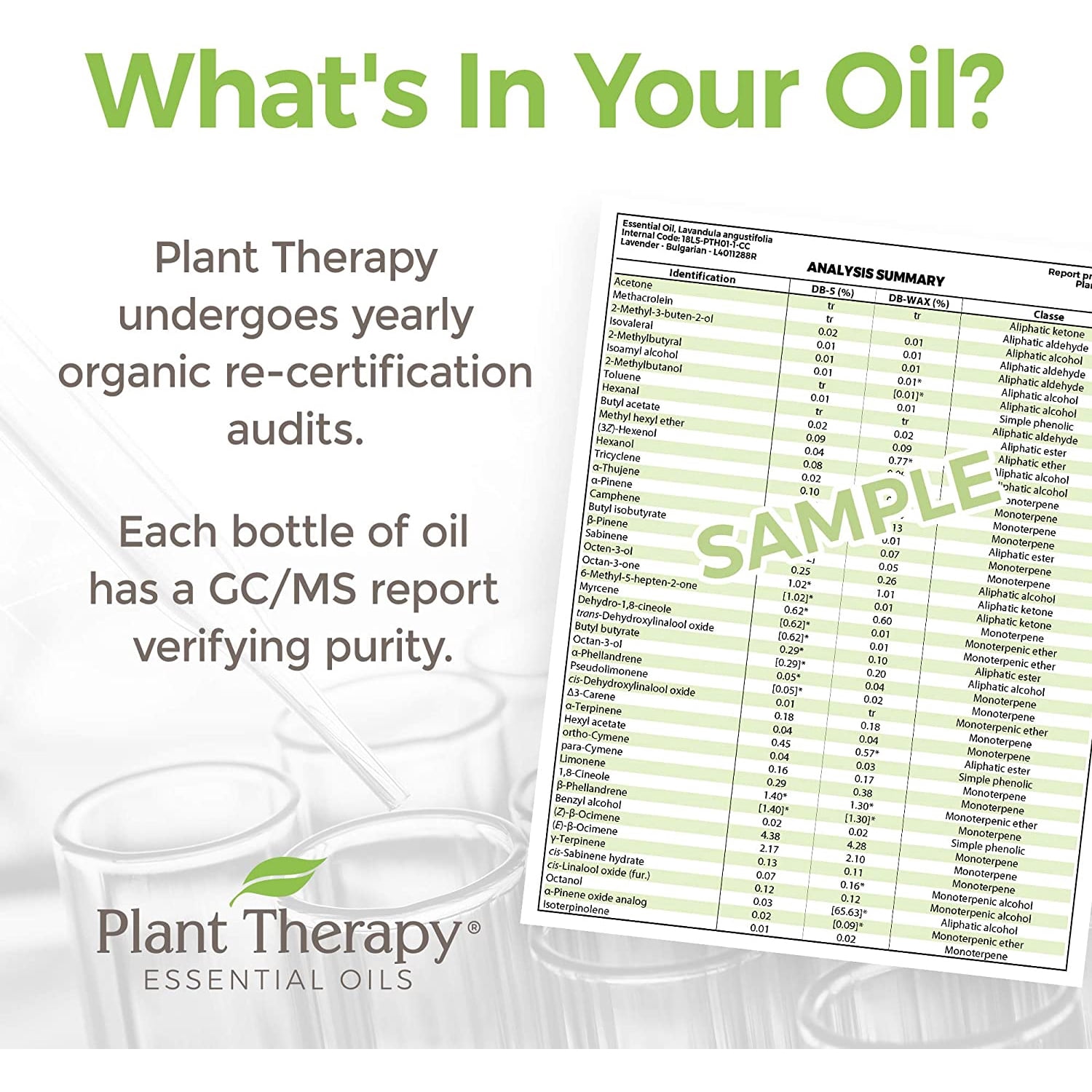 Plant Therapy Happy Place KidSafe Essential Oil Blend 100% Pure