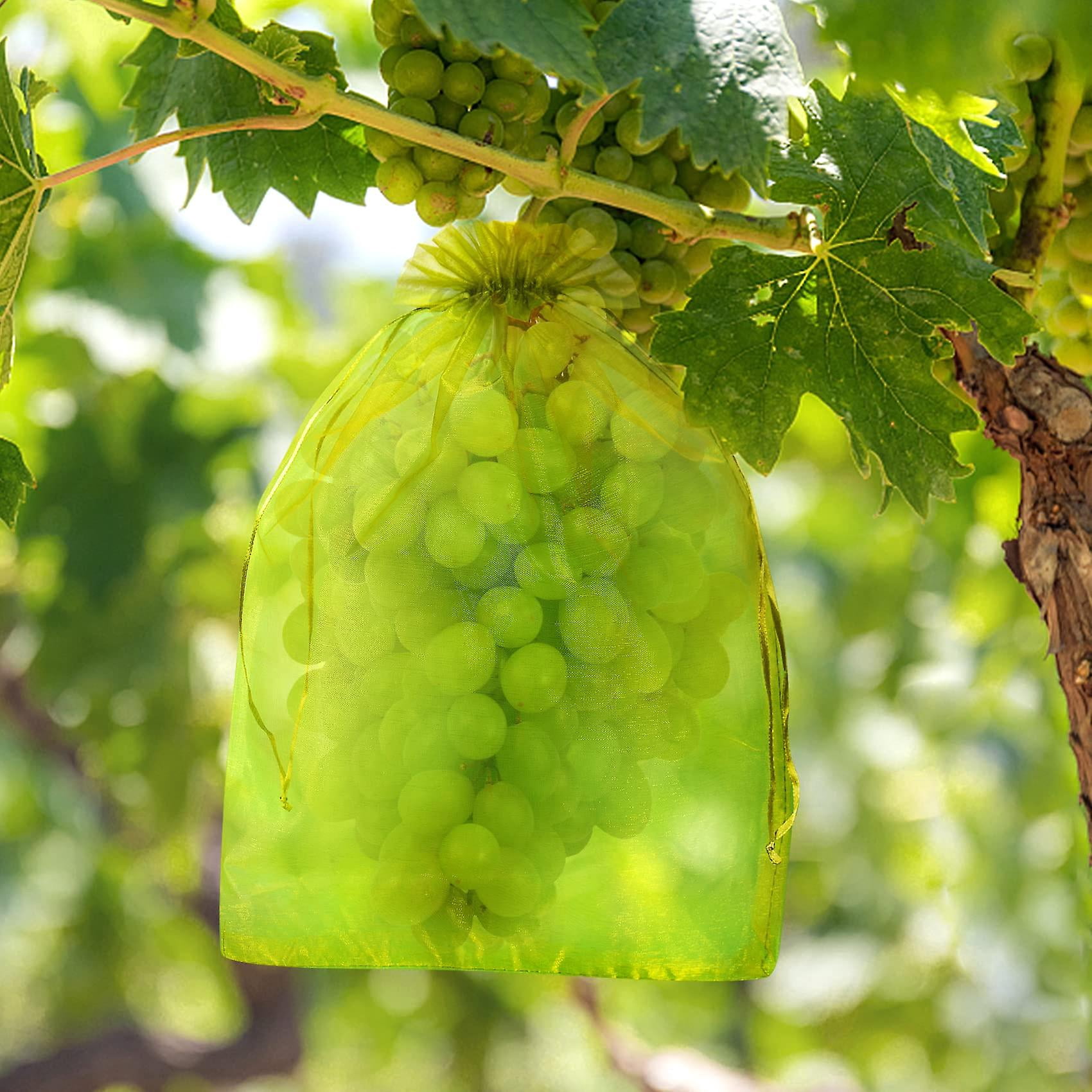 Bolsas De Protección Para Uvas Y Frutas - 50 Unidades, 30x40 Cm, Gasa Con Cordón | Reutilizables, Contra Insectos Y Pájaros