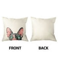thumbnail image 3 of WIRESTER 18x18 inch Square Decorative Throw Sofa Pillow Cases, Sphynx Kitten Cat, 3 of 7