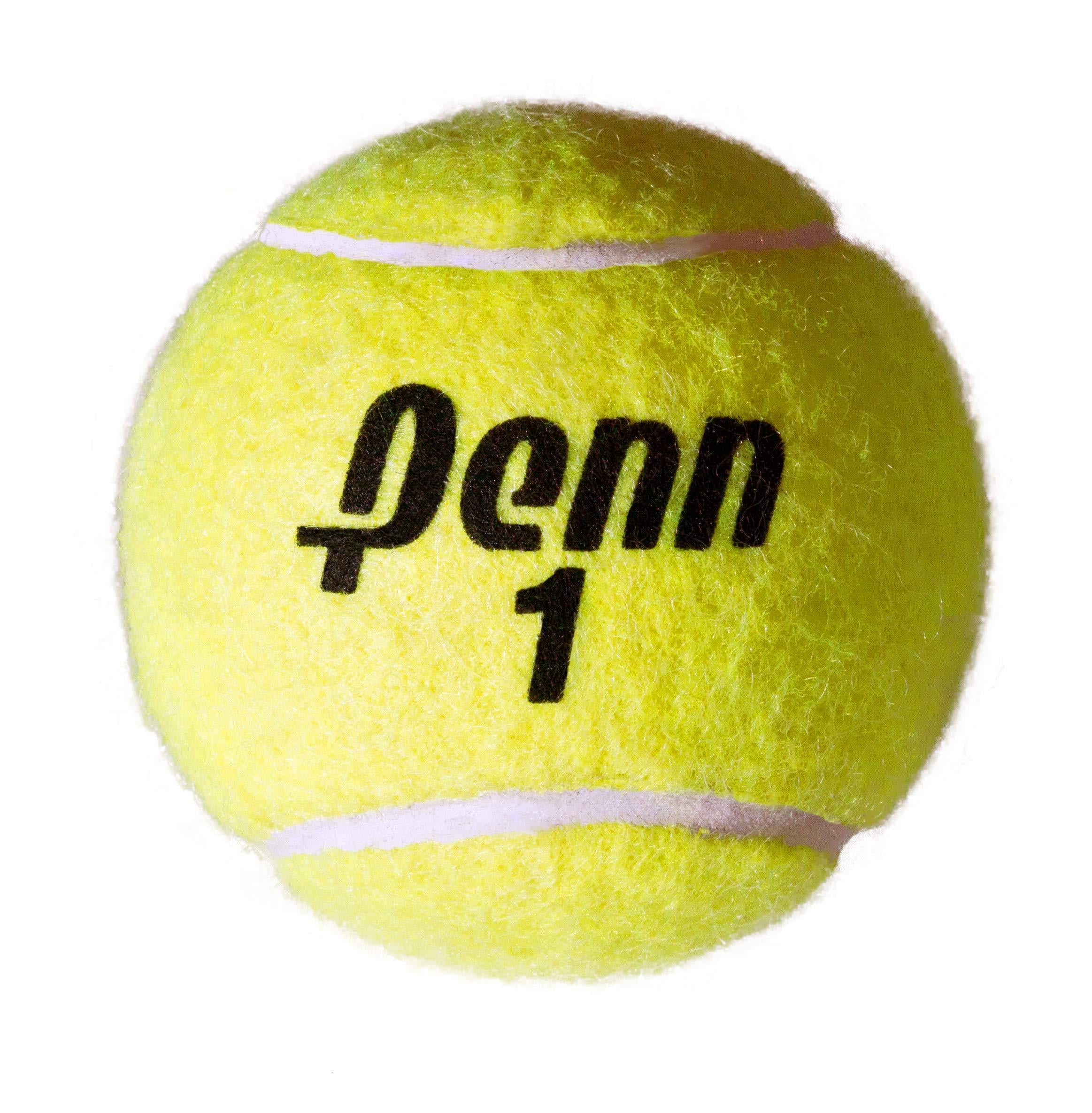 Penn Championship Extra Duty Tennis Balls (15 cans, 45 balls)